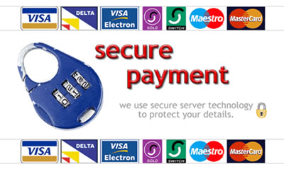 payment security