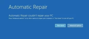 Startup Repair Could Not Repair Your PC