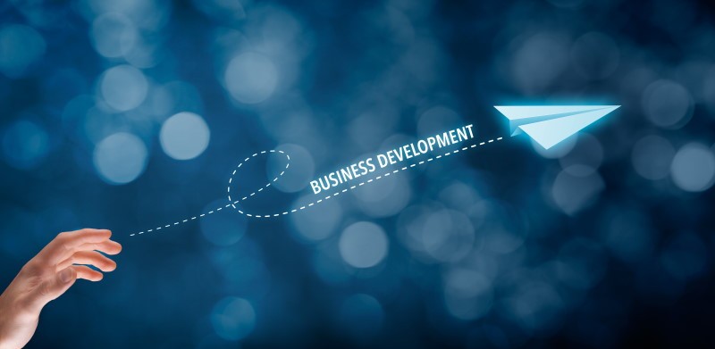 A Good Business Development Title - Detailed Information